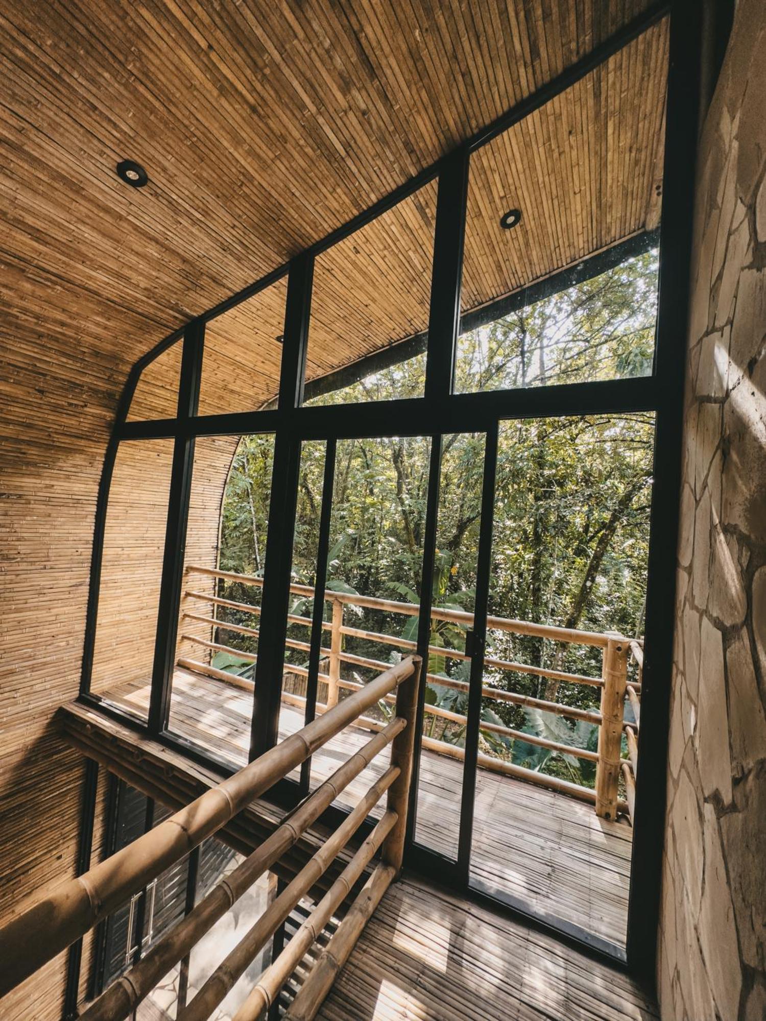 Cabana De Bambu En La Selva Palenque Exteriör bild
